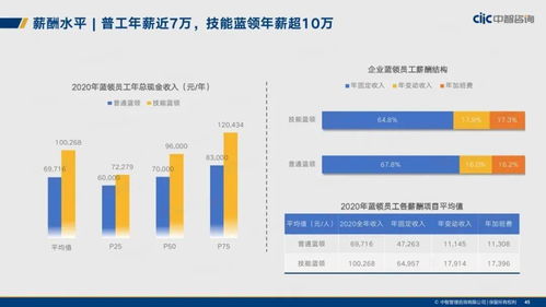 《2021年制造业人力资本管理与薪酬趋势报告 资产管理视角下的挑战与机遇》